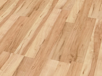 Клен Карельский D437