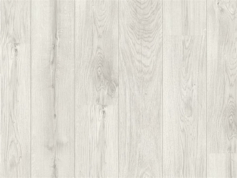 Дуб Серебряный  L0204-01807